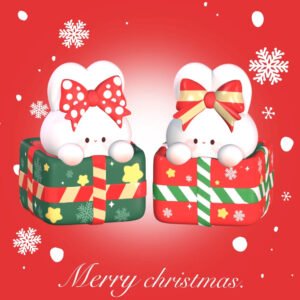 Mystery Christmas Box